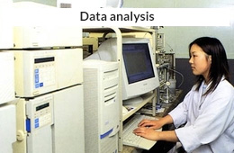 Data analysis[photo]